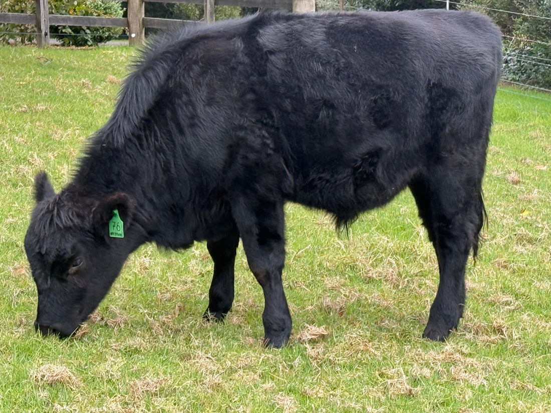 "You are what you eat eats"