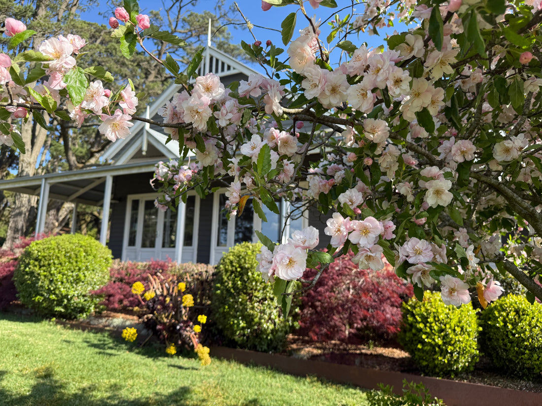 A Peek at Spring Life on the Farm