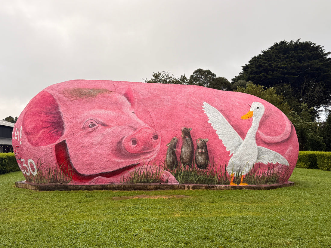 From Big Potato to Big Star: Celebrating 30 Years of Babe and Robertson's Iconic Landscape